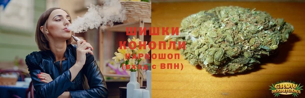 прущие крисы Дмитриев
