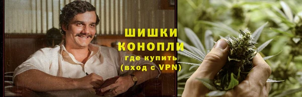 спиды Валдай