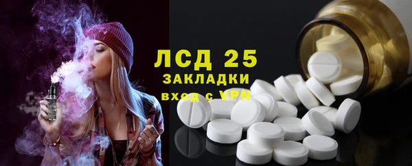 ПСИЛОЦИБИНОВЫЕ ГРИБЫ Дмитров