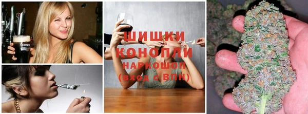 ПСИЛОЦИБИНОВЫЕ ГРИБЫ Дмитров
