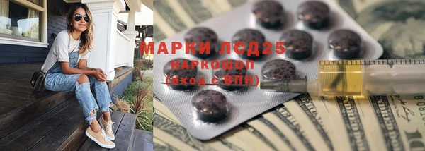 ПСИЛОЦИБИНОВЫЕ ГРИБЫ Дмитров