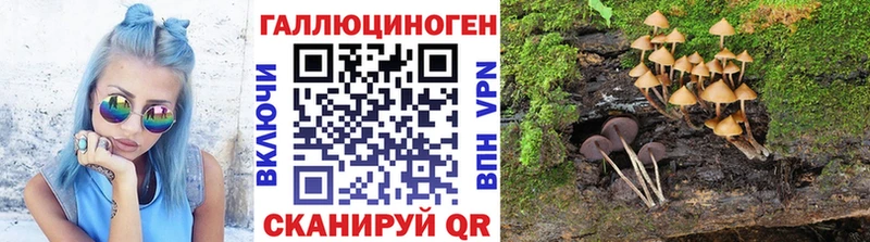 Галлюциногенные грибы мухоморы  хочу   Дятьково 